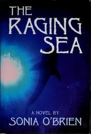 Tapa de The raging sea