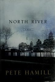 Tapa de North River