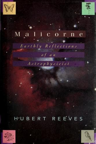 Tapa de Malicorne