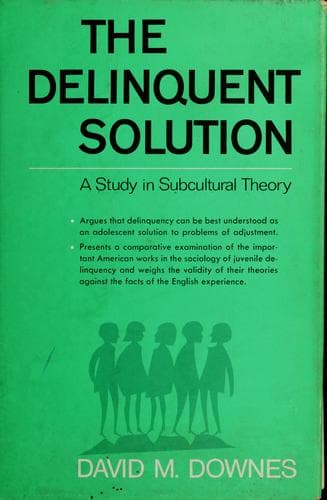 Tapa de The delinquent solution