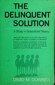 Tapa de The delinquent solution