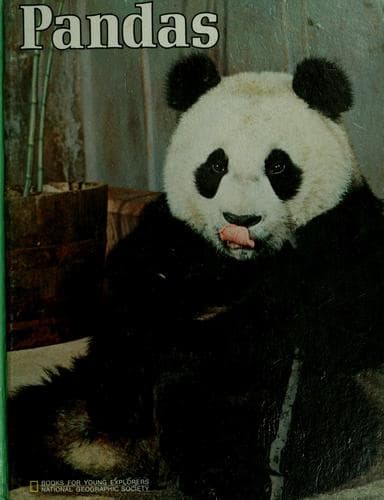 Tapa de Pandas
