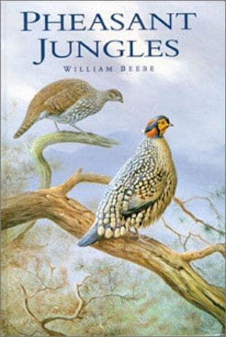 Tapa de Pheasant Jungles