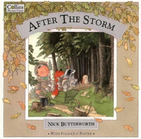 Tapa de After the Storm