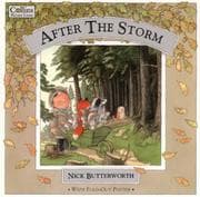 Tapa de After the Storm