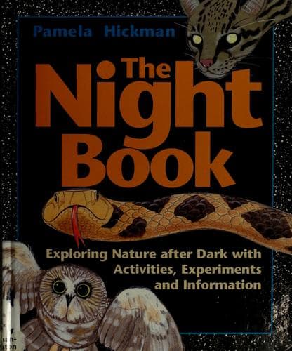 Tapa de The night book