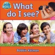 Tapa de What Do I See