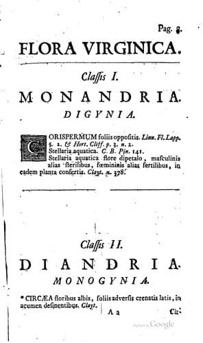 Tapa de Flora virginica
