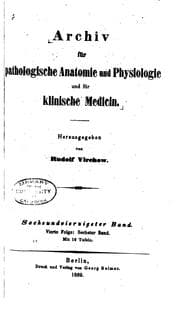 Tapa de Archiv fuer pathologische anatomie und physiologie und klinische