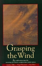 Tapa de Grasping the wind