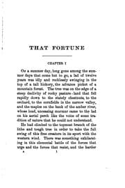 Tapa de That Fortune: A Novel