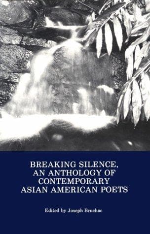 Tapa de Breaking Silence