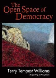 Tapa de The open space of democracy