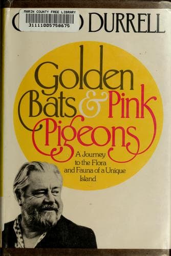 Tapa de Golden bats and pink pigeons