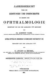 Tapa de Jahresbericht uber die Leistungen und Fortschritte im Gebiete der Ophthalmologie