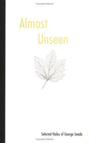 Tapa de Almost Unseen
