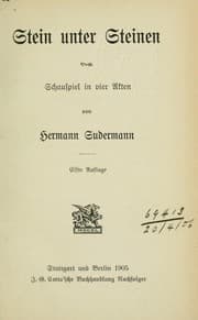 Tapa de Stein unter Steinen