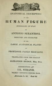 Tapa de Anatomical description of the human figure modelled in wax ... exhibiting at 111 Strand