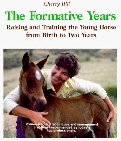 Tapa de The formative years