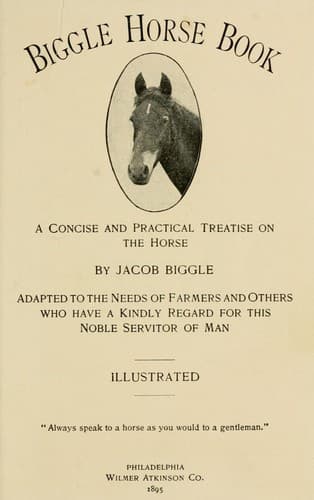 Tapa de Biggle horse book