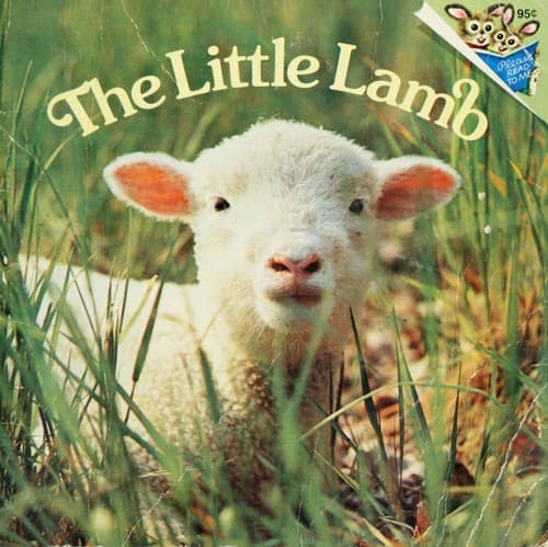 Tapa de The little lamb
