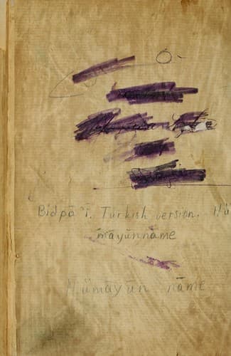 Tapa de Hümāyūn nāme