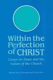 Tapa de Within the perfection of Christ