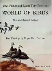 Tapa de World of birds