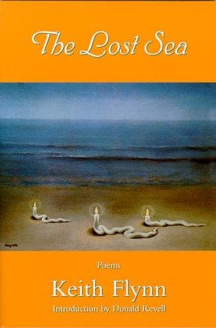 Tapa de The lost sea