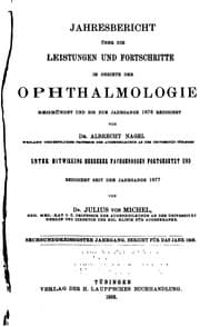 Tapa de Jahresbericht uber die Leistungen und Fortschritte im Gebiete der Ophthalmologie