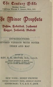 Tapa de The Minor prophets