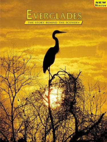 Tapa de Everglades