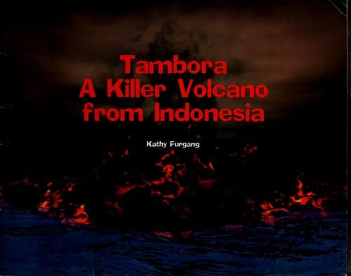 Tapa de Tambora
