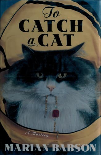Tapa de To catch a cat