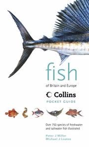 Tapa de Collins Pocket Guide