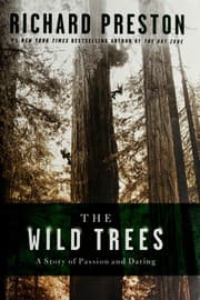 Tapa de The wild trees
