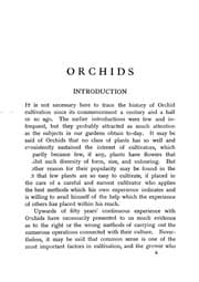 Tapa de Orchids