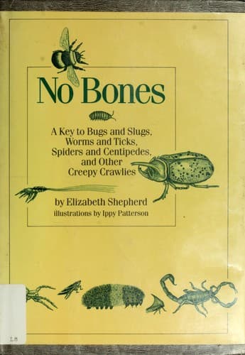 Tapa de No Bones