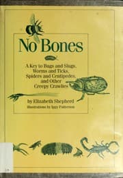 Tapa de No Bones