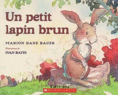 Tapa de Un Petit Lapin Brun