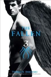 Tapa de Fallen volume 3 End of Days