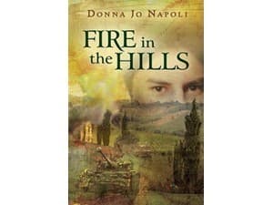 Tapa de Fire in the Hills