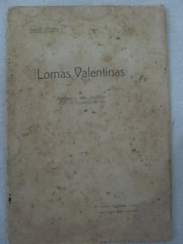 Tapa de Lomas Valentinas