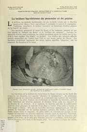 Tapa de La brûlure bactérienne du pommier et du poirier
