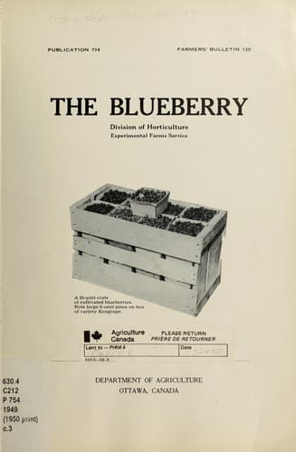 Tapa de The blueberry