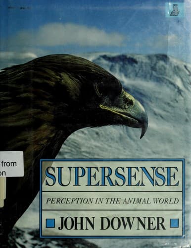 Tapa de Supersense