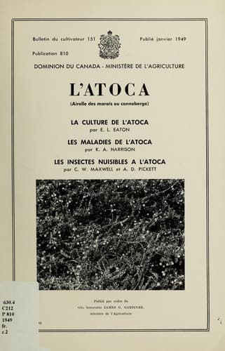 Tapa de L'atoca