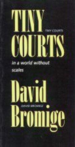 Tapa de Tiny Courts in a World Without Scales