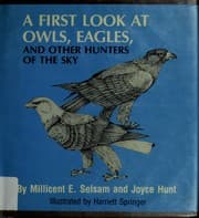 Tapa de A first look at owls, eagles, and other hunters of the sky