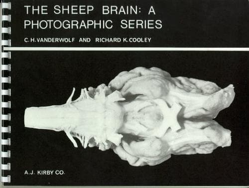 Tapa de Sheep Brain